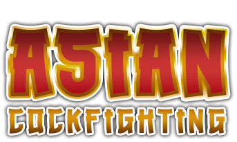 Asian Cockfighting App Download APK